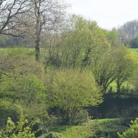 La Dortiere S'amuse, Magnifique Maison De Maitre 12min Du Puy Du Fo Sevremont