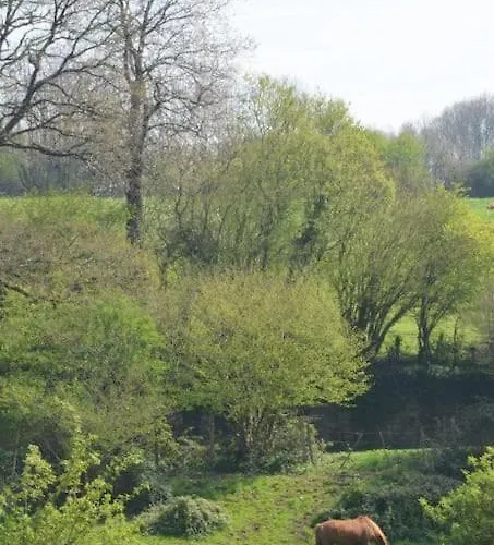 La Dortière S'amuse, Magnifique Maison De Maître 12min Du Puy Du Fo Sevremont